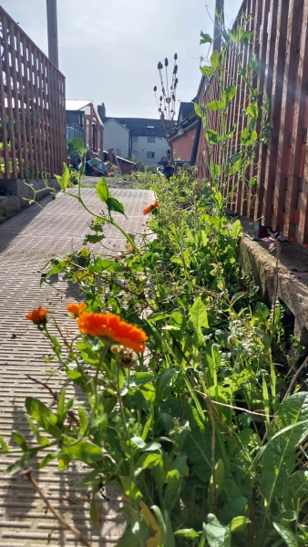 The Hanging Gardens